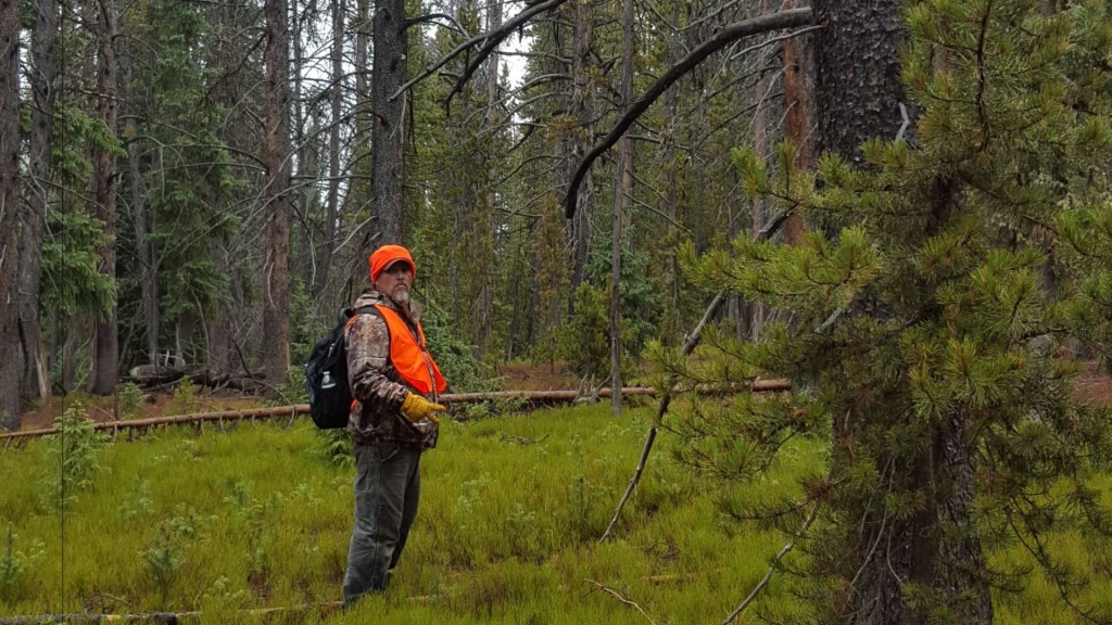 Picture of: Why should hunters wear daylight fluorescent orange clothing